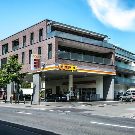 Silberdistel - Griwa Rent Ag