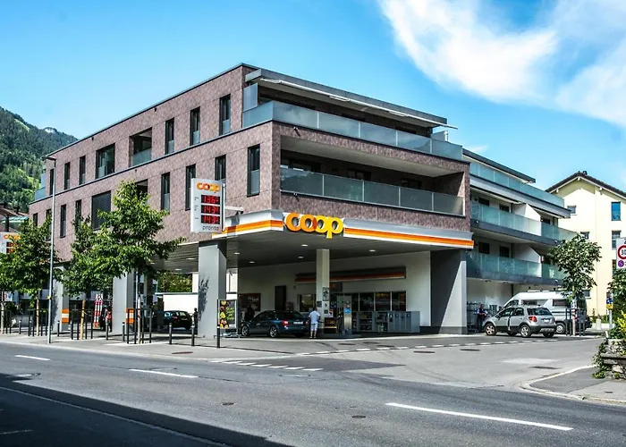 Silberdistel - Griwa Rent Ag